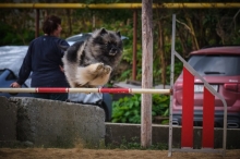 Олимпик Спирит Есмина