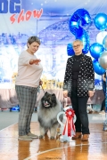 Северная Орхидея Фест Олимпик Голд, 12 лет
