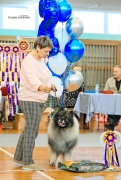 Северная Орхидея Фест Олимпик Голд, 12 лет