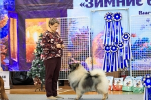 Северная Орхидея Фест Олимпик Голд, 12 лет