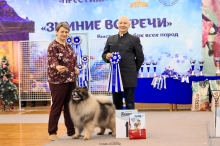 Северная Орхидея Фест Олимпик Голд, 12 лет