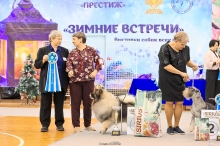 Северная Орхидея Фест Олимпик Голд, 12 лет