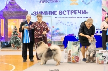 Северная Орхидея Фест Олимпик Голд, 12 лет
