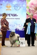 Северная Орхидея Фест Олимпик Голд 