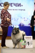 Северная Орхидея Фест Олимпик Голд 