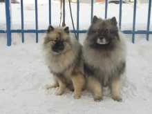 Филя и Барбариска