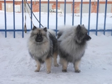 Филя и Барбариска