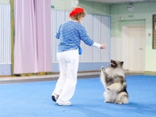 Олимпик Спирит Кумир