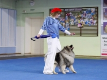 Олимпик Спирит Кумир