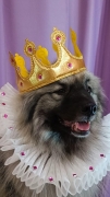 Олимпик Спирит Кумир