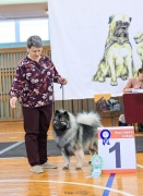 Олимпик Спирит Лориана