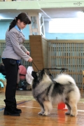 Олимпик Спирит Лориана