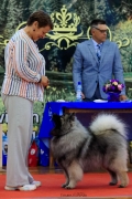 Олимпик Спирит Лориана
