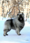 Олимпик Спирит Максимус