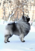Олимпик Спирит Максимус