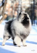 Олимпик Спирит Максимус