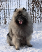 Олимпик Спирит Максимус