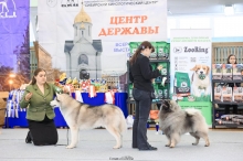 Олимпик Спирит Максимус