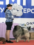 Олимпик Спирит Максимус