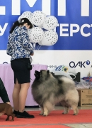 Олимпик Спирит Максимус