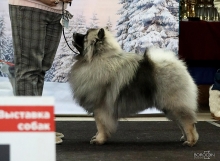 Олимпик Спирит Максимус