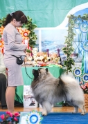 Олимпик Спирит Максимус
