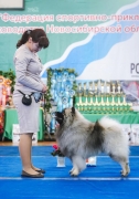 Олимпик Спирит Максимус