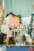 Олимпик Спирит Максимус