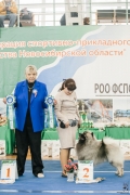 Олимпик Спирит Максимус