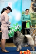 Олимпик Спирит Максимус