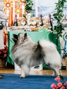 Олимпик Спирит Максимус