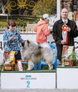 Олимпик Спирит Максимус
