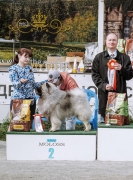Олимпик Спирит Максимус