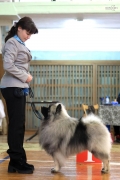 Олимпик Спирит Максимус 