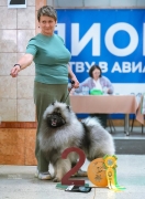 Олимпик Спирит Максимус 