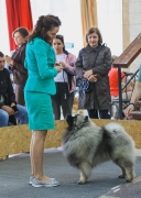 Олимпик Спирит Максимус 