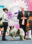 Олимпик Спирит Максимус 