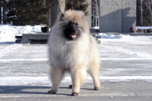 Олимпик Спирит Мистика, 5 месяцев