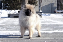Олимпик Спирит Мистика, 5 месяцев