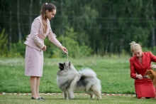 Олимпик Спирит Мистика