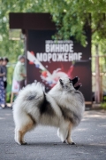 Олимпик Спирит Мистика