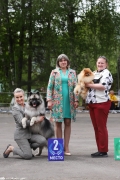 Вэлл Камирэль Диамант, сын Яхонта