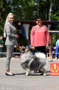 Вэлл Камирэль Диамант, сын Яхонта