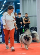 Локи и Филя