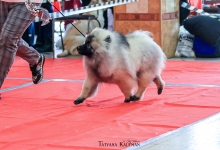 Олимпик Спирит Максимус