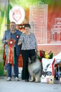 Северная Орхидея Фест Олимпик Голд 