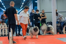 Филя и Локи