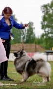 Шелди, дочка Яхонта